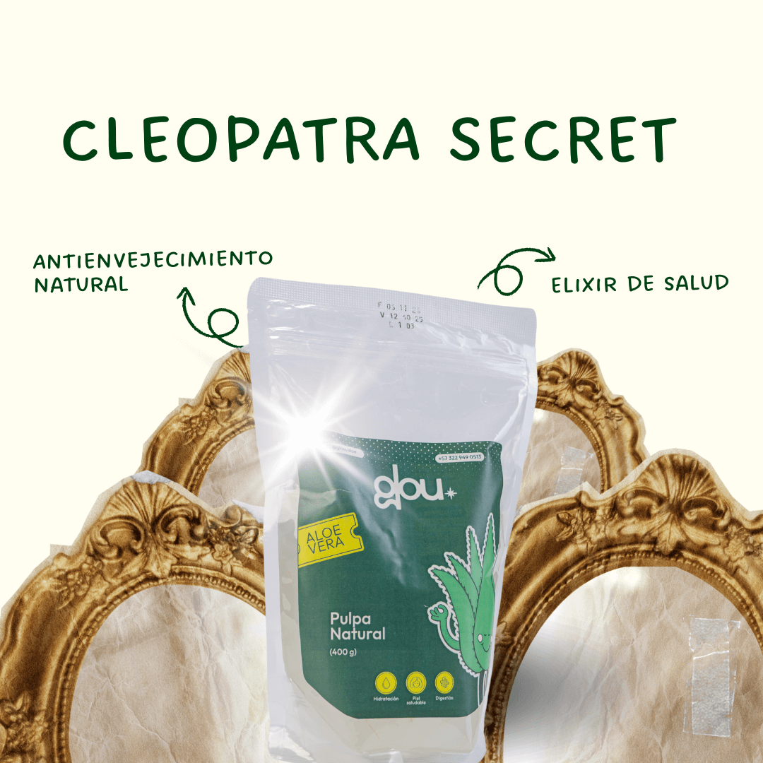 Lonjas de Aloe Vera Listas y Preparadas